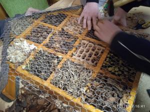 IMG_20230307_164153